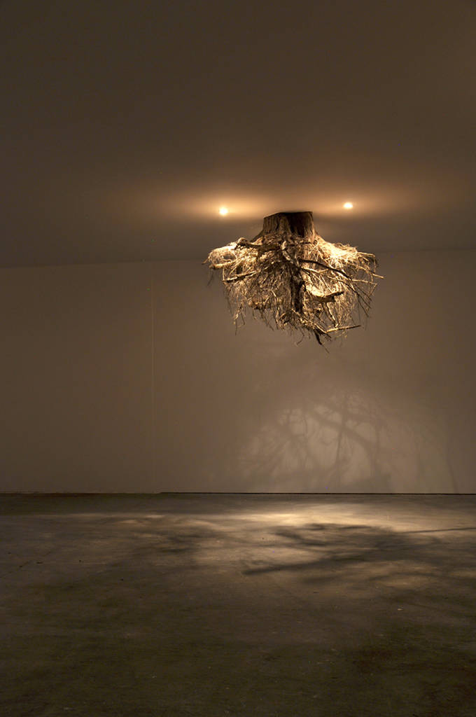 Real Tree Roots Chandeliers Installation – Fubiz Media