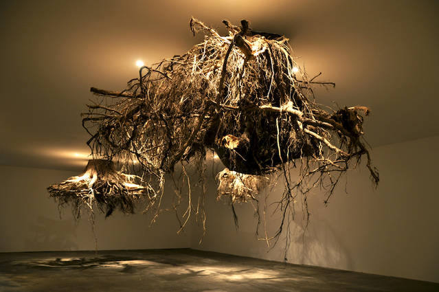 Real Tree Roots Chandeliers Installation – Fubiz Media