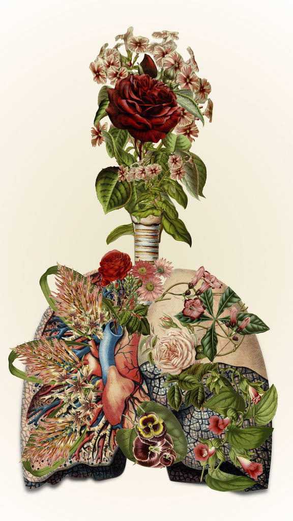 Delicate Collages Inspired By Anatomy And Botany – Fubiz Media