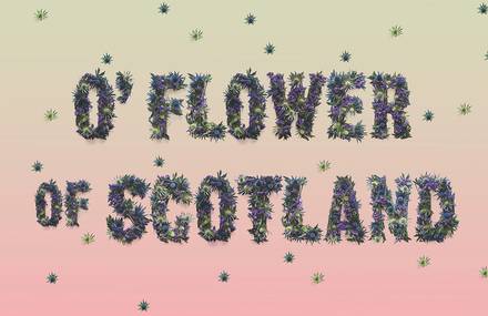 Allegorical Floral Typography for Scotland