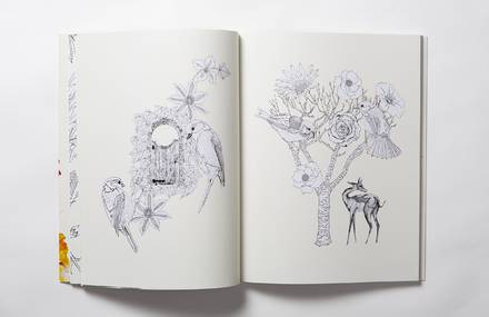 Whimsical Birds and Flowers Coloring Book