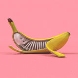 Hilarious And Surprising Bananas GIFs – Fubiz Media