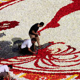 Impressive Flower Carpet Made Of 600 000 Blooms In Brussels – Fubiz Media