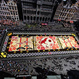 Impressive Flower Carpet Made Of 600 000 Blooms In Brussels – Fubiz Media