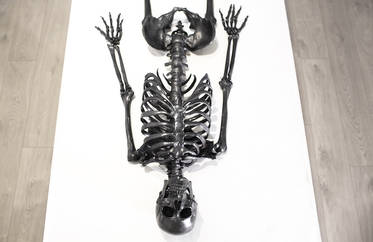 Vibrating Self-Drawing Graphite Skeleton – Fubiz Media