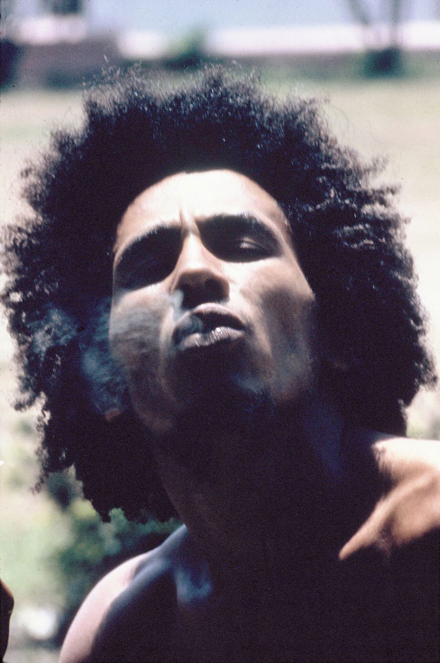 Bob Marley7
