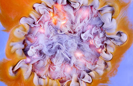 Colorful & Abstract Pictures of Dye Explosions
