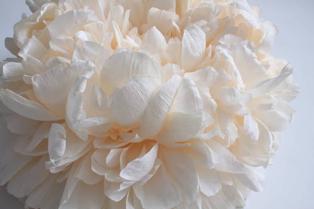 Incredibly Realistic Paper Flowers by Tiffanie Turner – Fubiz Media