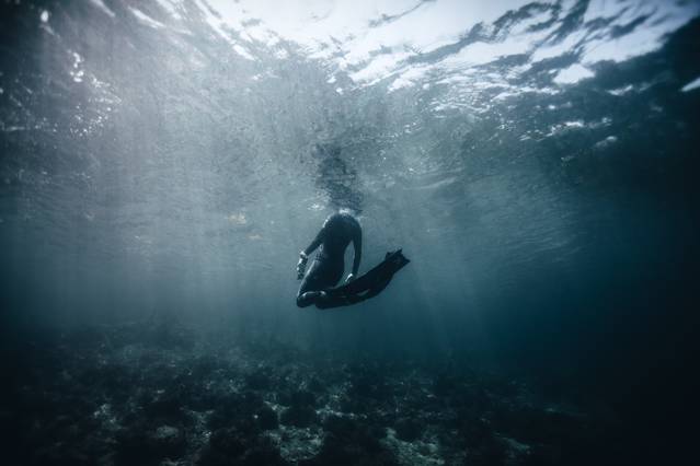 #RunForTheOceans Event in Paris by adidas & Parley – Fubiz Media